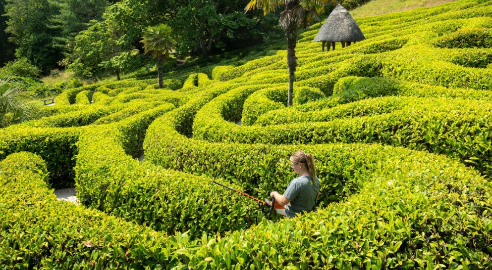 National Trust - Glendurgan Garden, United Kingdom